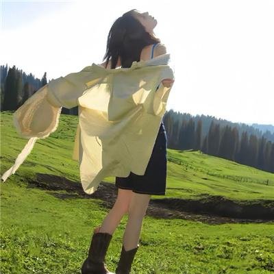 风载歌行
